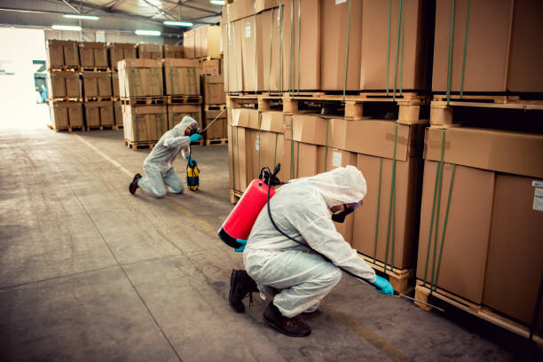 Best Local Pest Control Services  in Upper Montclair, NJ