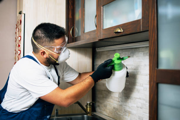 Best Residential Pest Control  in Upper Montclair, NJ