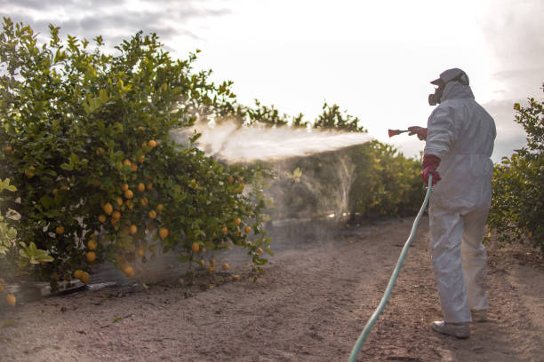 Pest Control Cost in Upper Montclair, NJ