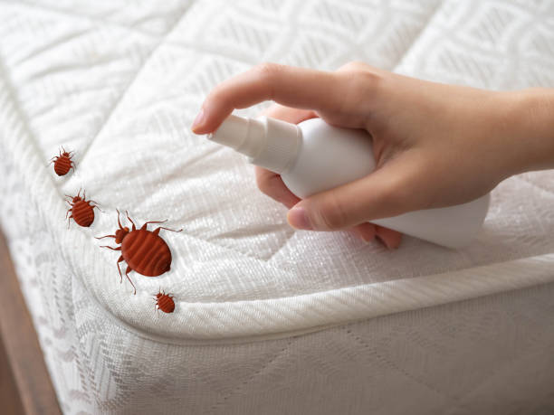 Best Ant Control Services  in Upper Montclair, NJ