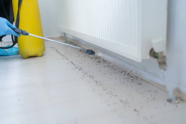 Trusted Upper Montclair, NJ Pest Control Experts