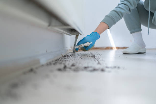 Best Exterminator Services  in Upper Montclair, NJ